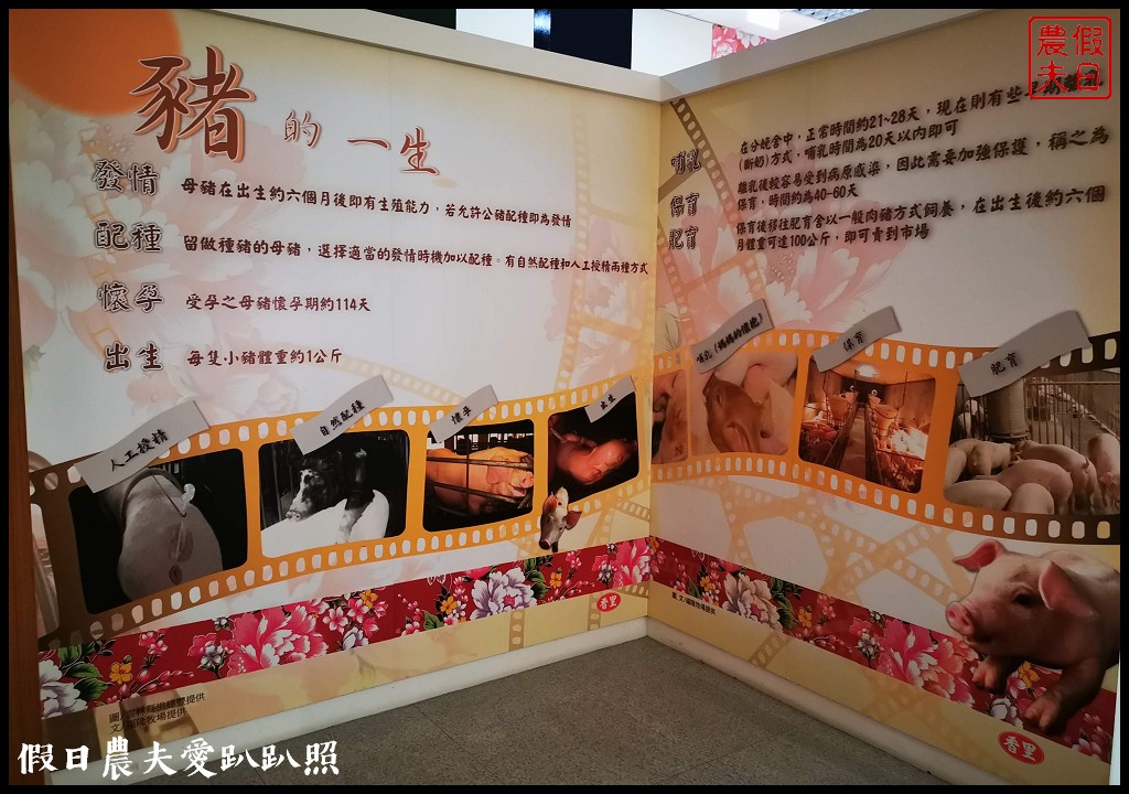 南投觀光工廠|香里活力豬品牌文化館．參觀工廠要先換拖鞋/免費參觀 @假日農夫愛趴趴照