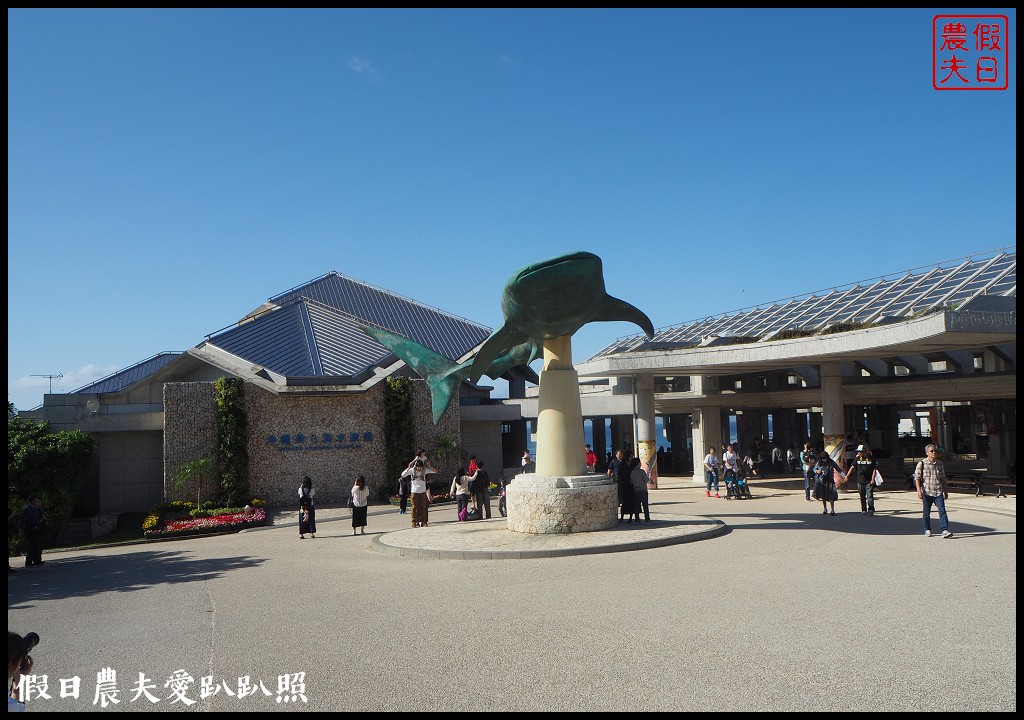 沖繩旅遊|美麗海水族館4點以後門票比較便宜．海洋博公園海豚秀海龜館儒艮免費觀賞 @假日農夫愛趴趴照