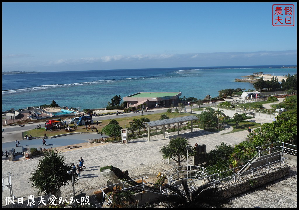 沖繩旅遊|美麗海水族館4點以後門票比較便宜．海洋博公園海豚秀海龜館儒艮免費觀賞 @假日農夫愛趴趴照