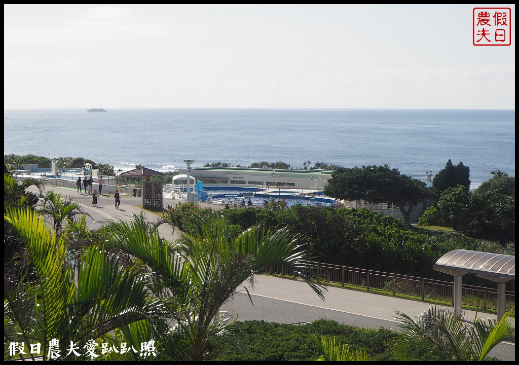 沖繩旅遊|美麗海水族館4點以後門票比較便宜．海洋博公園海豚秀海龜館儒艮免費觀賞 @假日農夫愛趴趴照