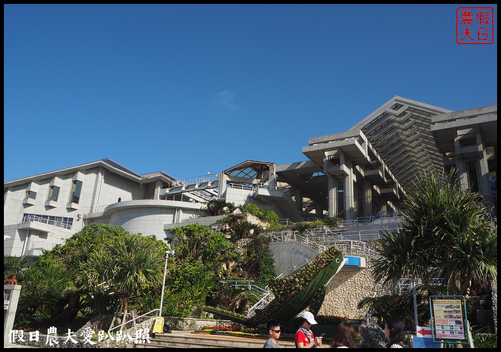 沖繩旅遊|美麗海水族館4點以後門票比較便宜．海洋博公園海豚秀海龜館儒艮免費觀賞 @假日農夫愛趴趴照