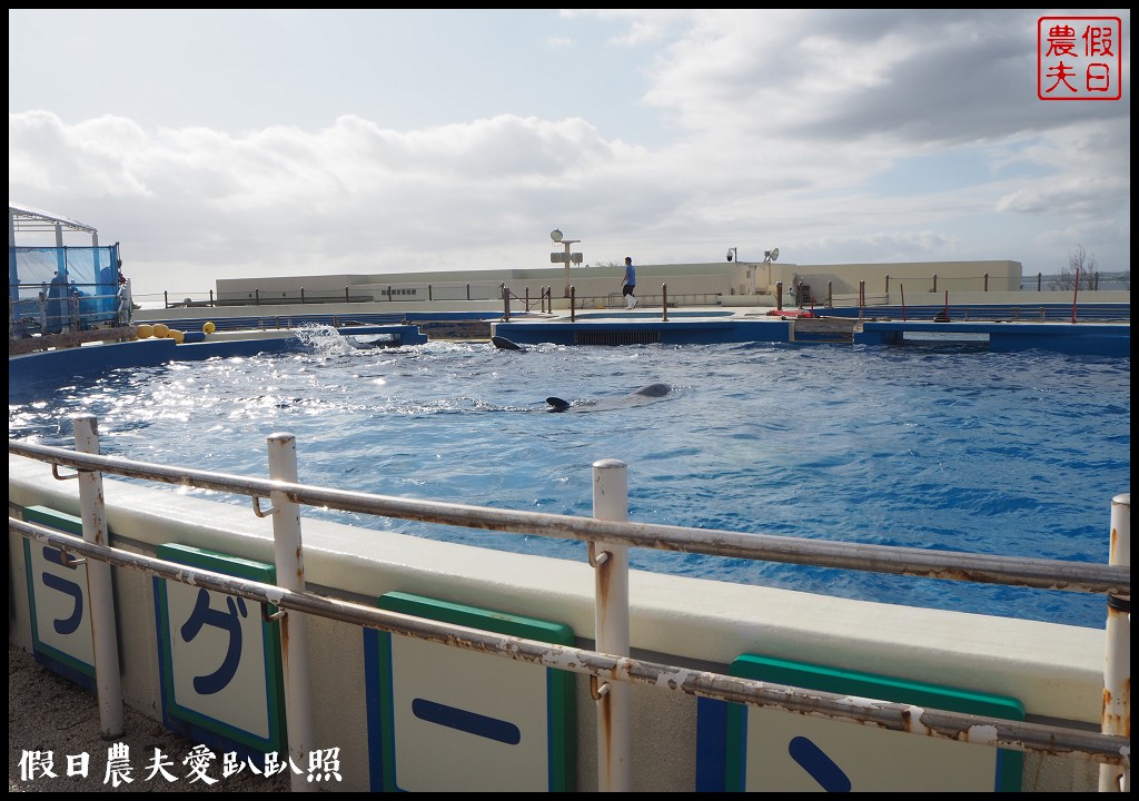 沖繩旅遊|美麗海水族館4點以後門票比較便宜．海洋博公園海豚秀海龜館儒艮免費觀賞 @假日農夫愛趴趴照