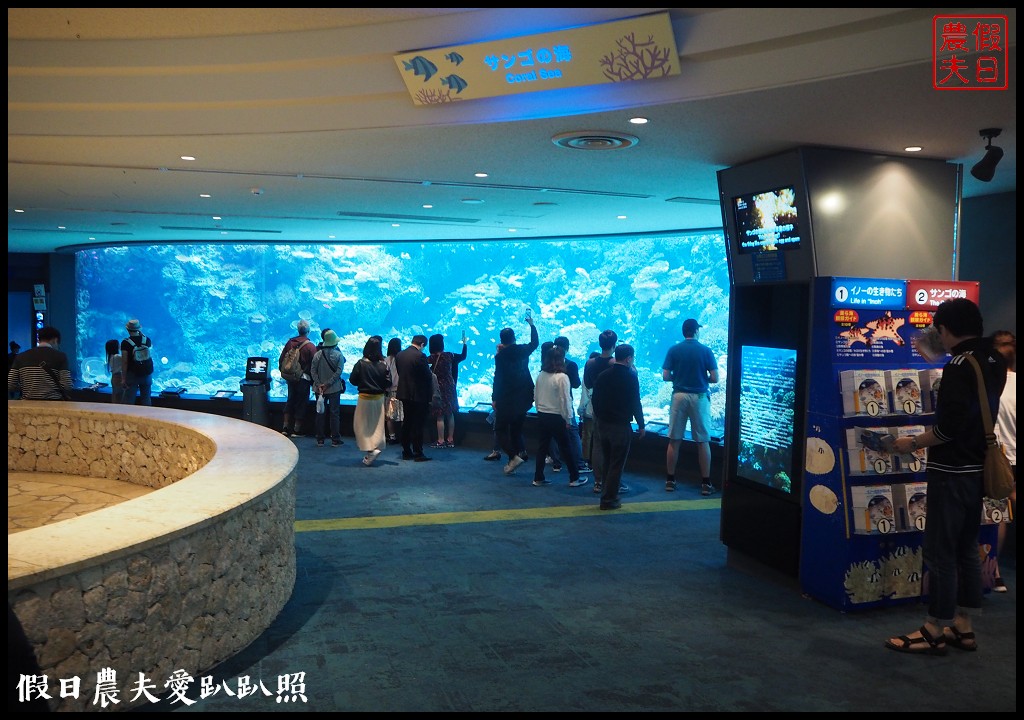 沖繩旅遊|美麗海水族館4點以後門票比較便宜．海洋博公園海豚秀海龜館儒艮免費觀賞 @假日農夫愛趴趴照