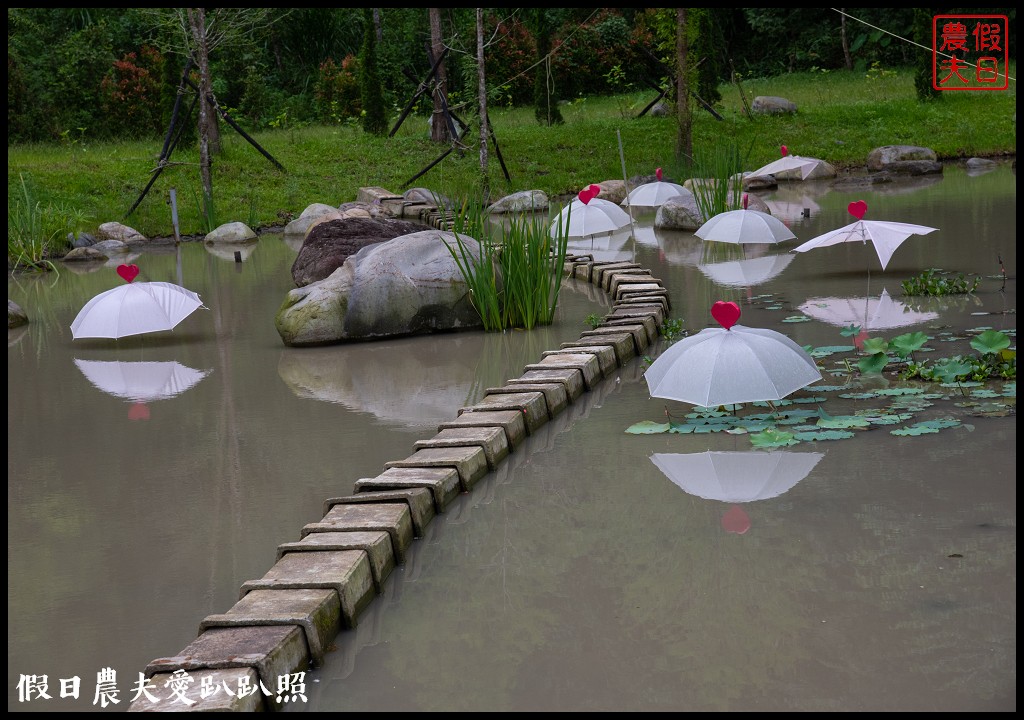 台中旅遊|新社二天一夜怎麼玩．來台中後花園賞花賞景吃美食/安妮公主花園/農夫市集/沐心泉/劦陶宛民宿 @假日農夫愛趴趴照