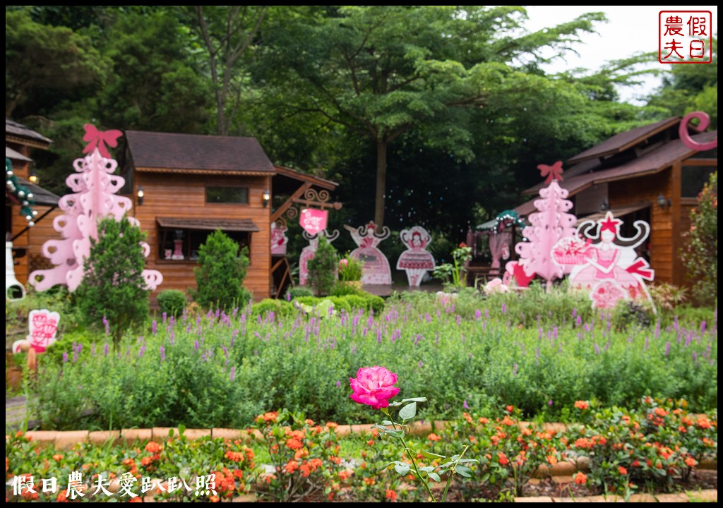 台中旅遊|新社二天一夜怎麼玩．來台中後花園賞花賞景吃美食/安妮公主花園/農夫市集/沐心泉/劦陶宛民宿 @假日農夫愛趴趴照