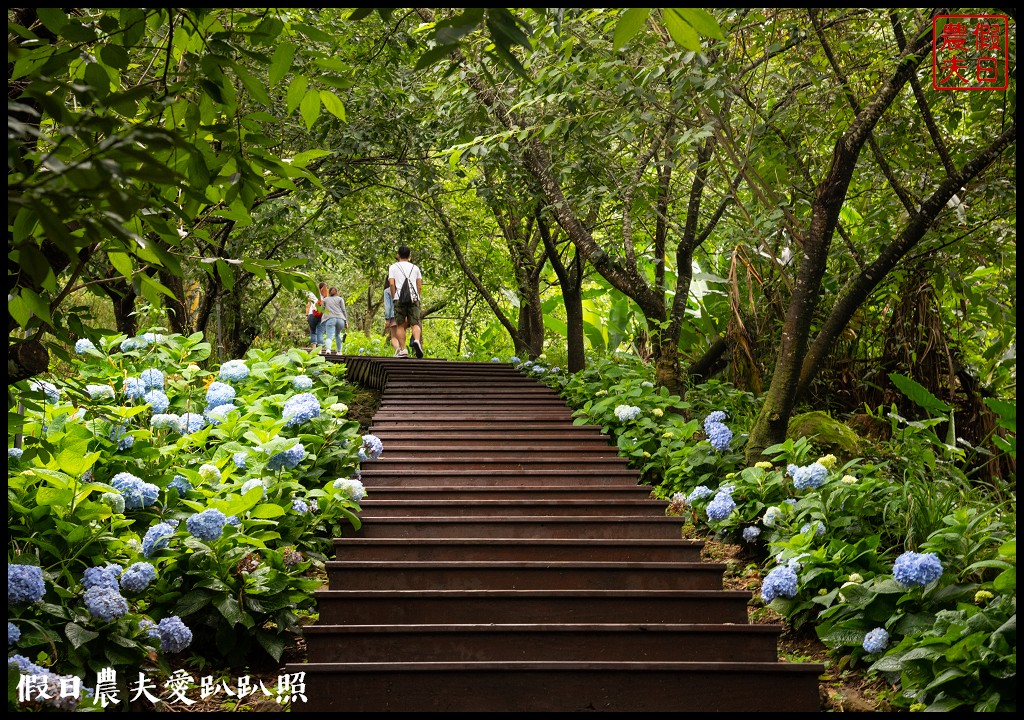 台中旅遊|新社二天一夜怎麼玩．來台中後花園賞花賞景吃美食/安妮公主花園/農夫市集/沐心泉/劦陶宛民宿 @假日農夫愛趴趴照