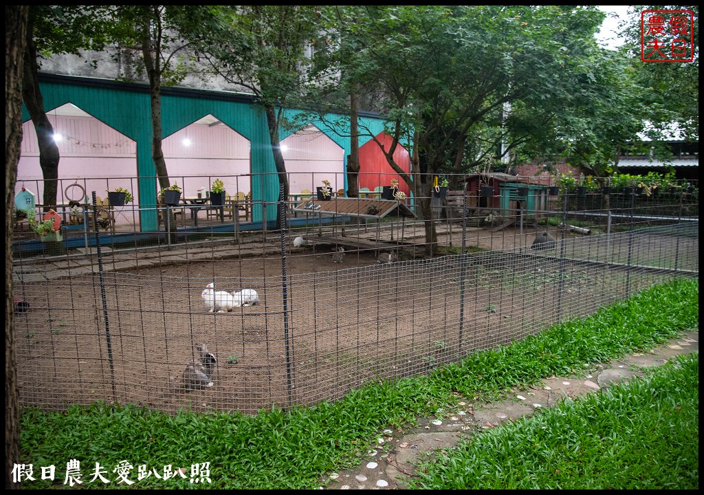 台中旅遊|新社二天一夜怎麼玩．來台中後花園賞花賞景吃美食/安妮公主花園/農夫市集/沐心泉/劦陶宛民宿 @假日農夫愛趴趴照