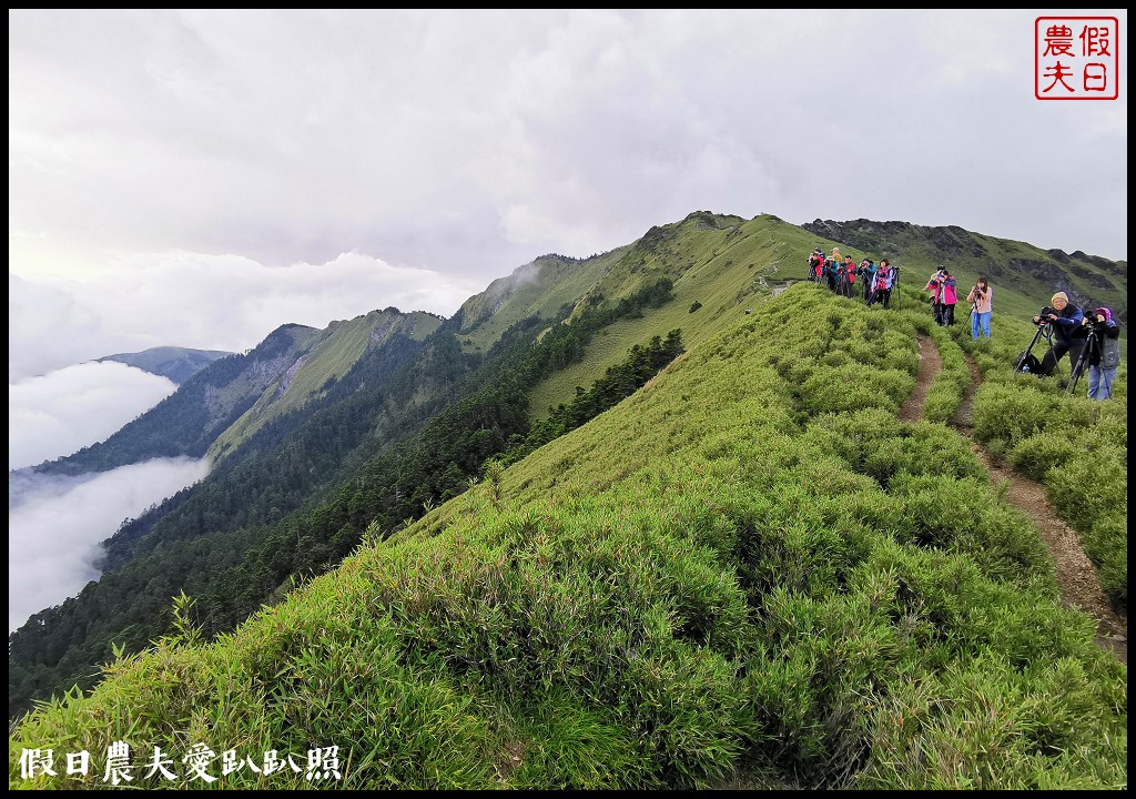 南投旅遊|到合歡山吹天然冷氣．手機如何拍銀河星軌/全台首座國際認證暗空公園 @假日農夫愛趴趴照