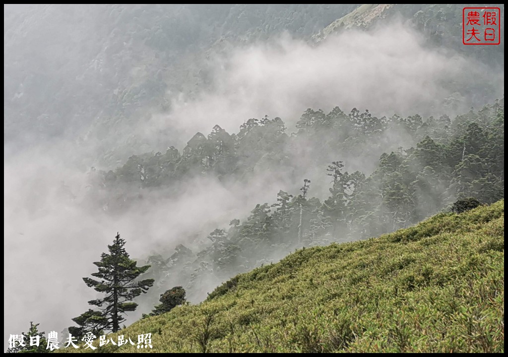 南投旅遊|到合歡山吹天然冷氣．手機如何拍銀河星軌/全台首座國際認證暗空公園 @假日農夫愛趴趴照