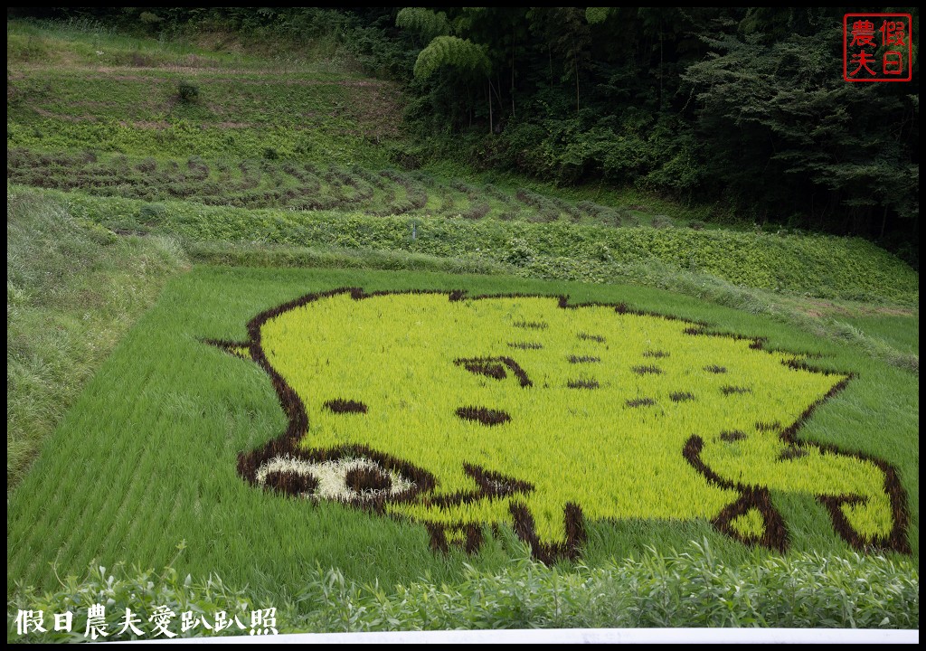 日本旅遊|福島三春町田園藝術彩繪稻田．集章可以抽小禮物 @假日農夫愛趴趴照