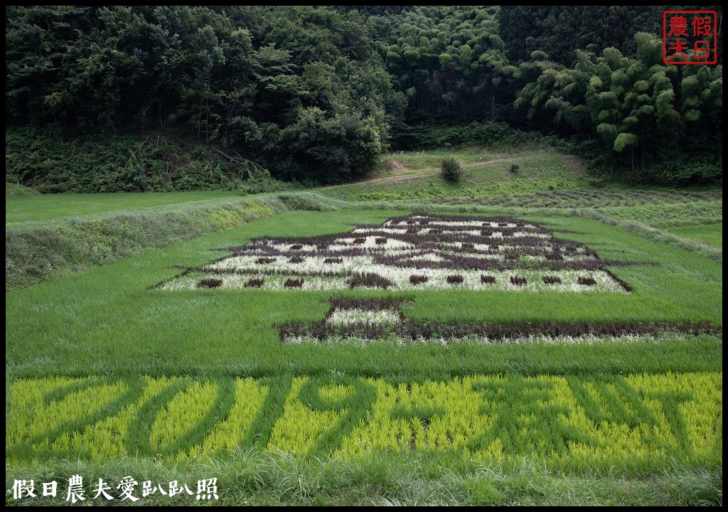 日本旅遊|福島三春町田園藝術彩繪稻田．集章可以抽小禮物 @假日農夫愛趴趴照