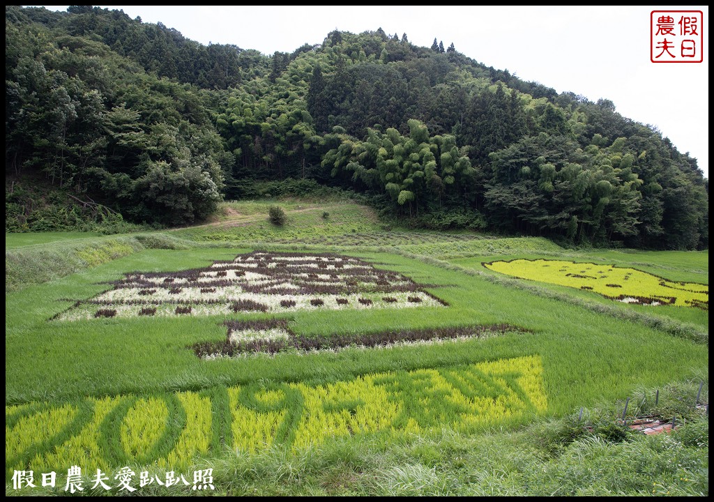 日本旅遊|福島三春町田園藝術彩繪稻田．集章可以抽小禮物 @假日農夫愛趴趴照