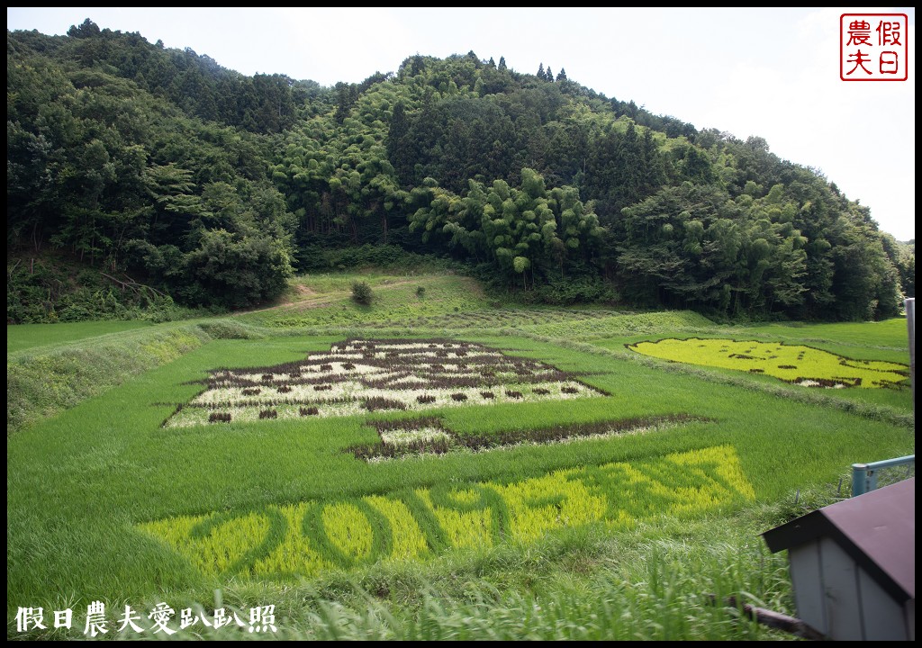 日本旅遊|福島三春町田園藝術彩繪稻田．集章可以抽小禮物 @假日農夫愛趴趴照