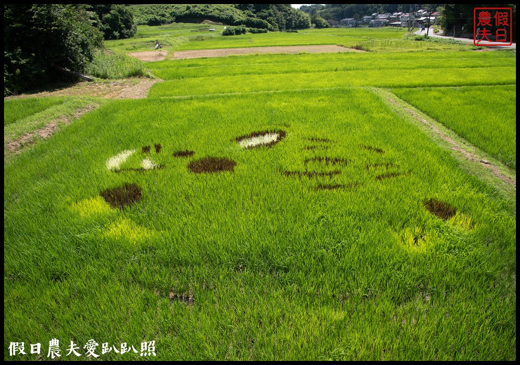 日本旅遊|福島三春町田園藝術彩繪稻田．集章可以抽小禮物 @假日農夫愛趴趴照