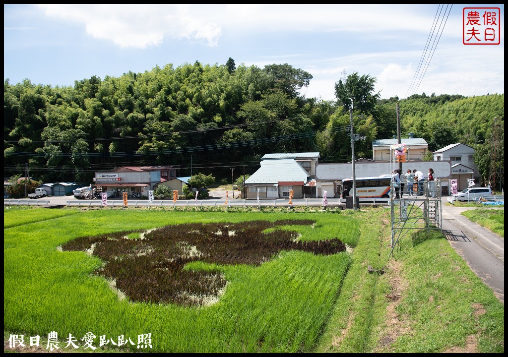 日本旅遊|福島三春町田園藝術彩繪稻田．集章可以抽小禮物 @假日農夫愛趴趴照