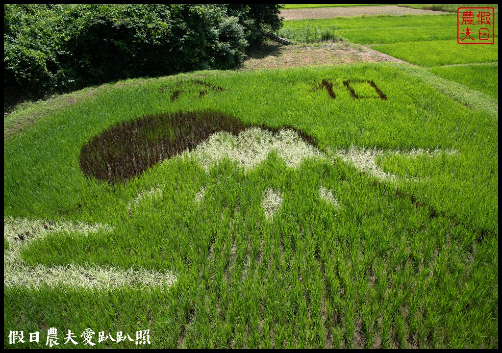 日本旅遊|福島三春町田園藝術彩繪稻田．集章可以抽小禮物 @假日農夫愛趴趴照