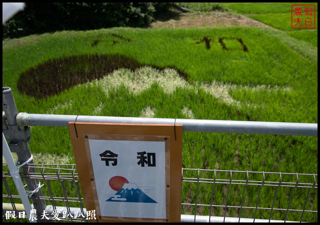 日本旅遊|福島三春町田園藝術彩繪稻田．集章可以抽小禮物 @假日農夫愛趴趴照