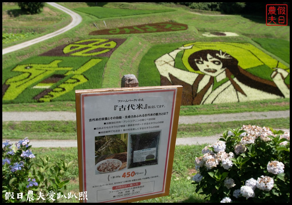 日本旅遊|福島三春町田園藝術彩繪稻田．集章可以抽小禮物 @假日農夫愛趴趴照