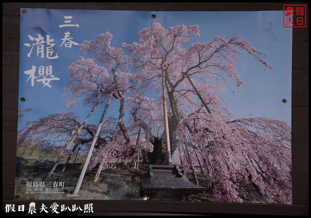 日本旅遊|福島三春町田園藝術彩繪稻田．集章可以抽小禮物 @假日農夫愛趴趴照