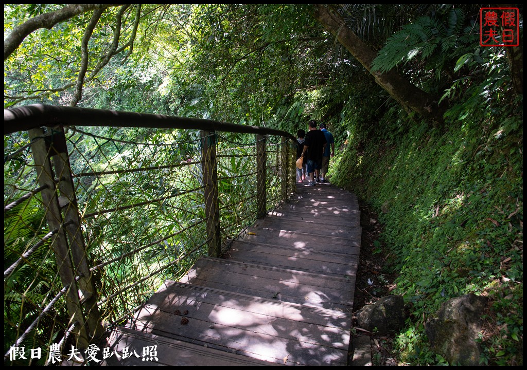 桃園景點|小烏來透明天空步道×繩索吊橋×宇內溪戲水池限期開放/一日遊 @假日農夫愛趴趴照