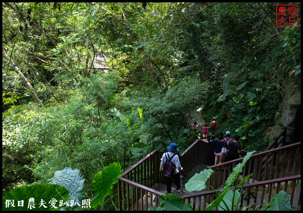 桃園景點|小烏來透明天空步道×繩索吊橋×宇內溪戲水池限期開放/一日遊 @假日農夫愛趴趴照