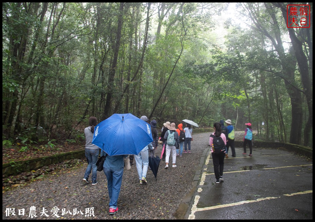 苗栗旅遊|輕旅．慢活@泰安|雪見生態之旅/雪霸國家公園 @假日農夫愛趴趴照