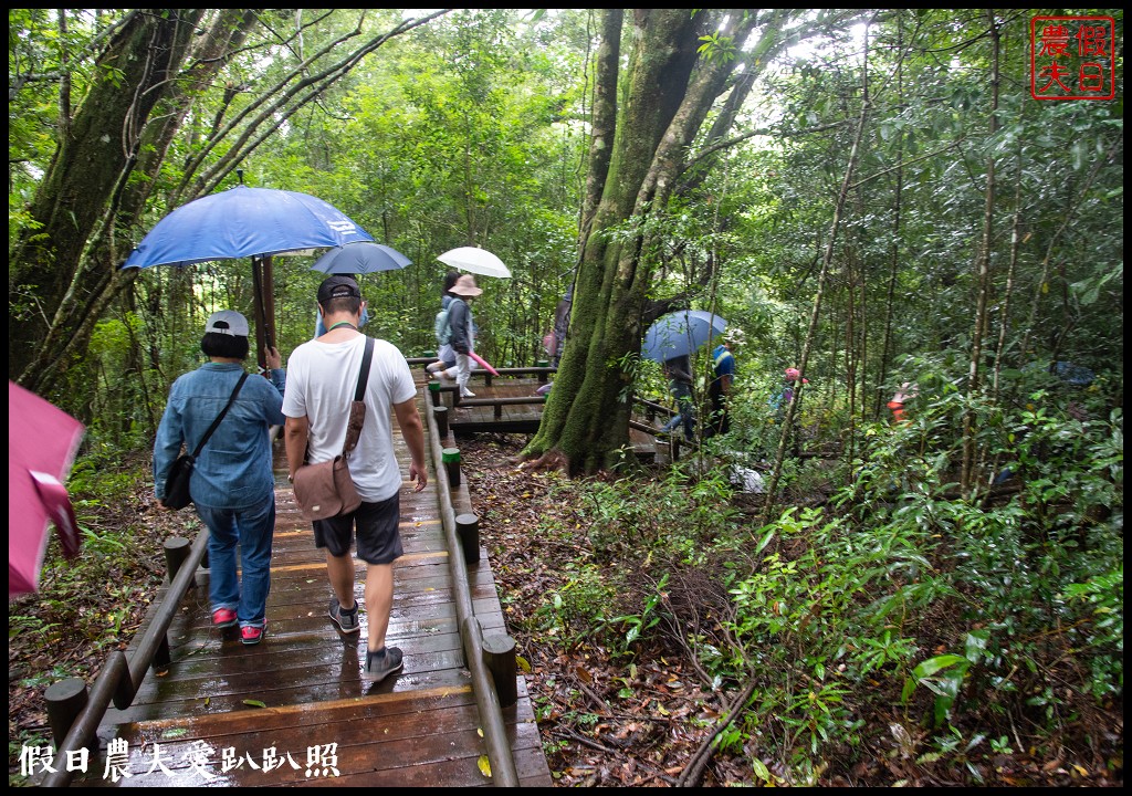 苗栗旅遊|輕旅．慢活@泰安|雪見生態之旅/雪霸國家公園 @假日農夫愛趴趴照