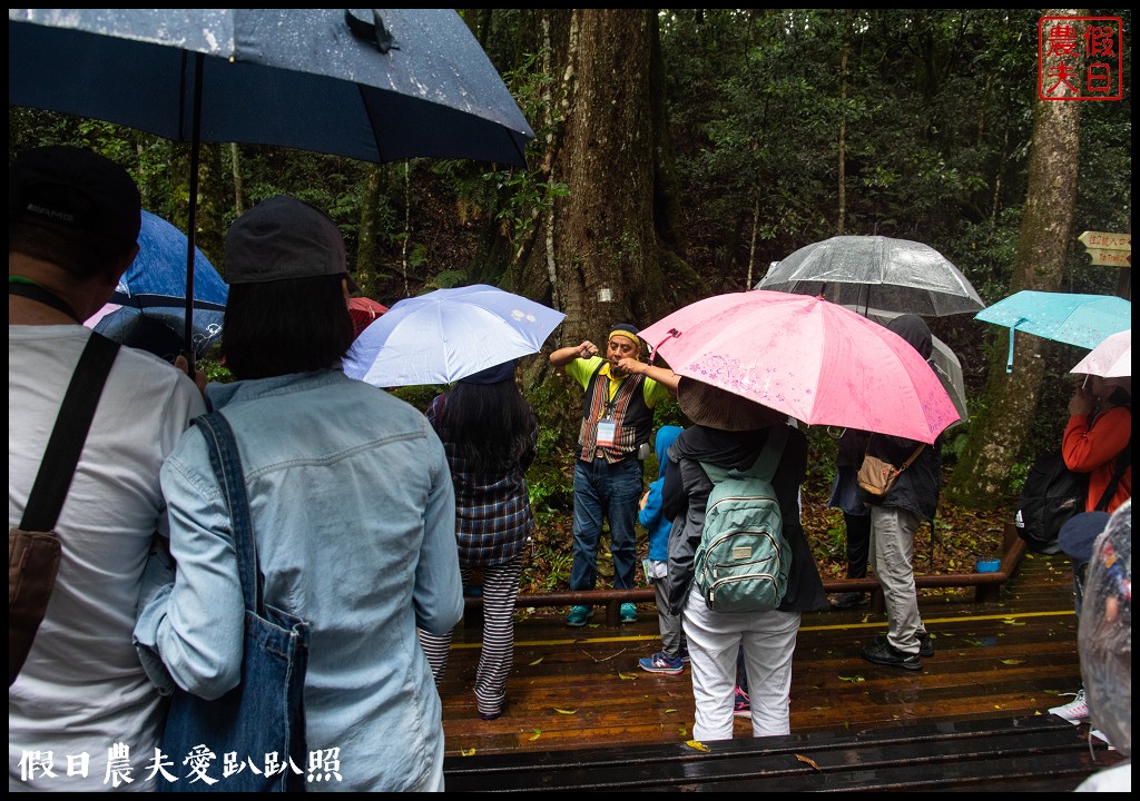 苗栗旅遊|輕旅．慢活@泰安|雪見生態之旅/雪霸國家公園 @假日農夫愛趴趴照