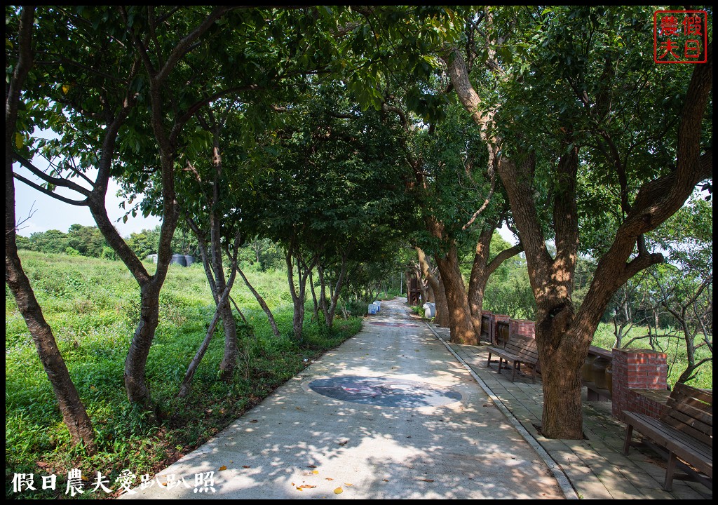 苗栗旅遊|頭份後花園茶遊程輕旅行．日新茶園×怡明茶園×老崎休憩步道×楓香林隧道 @假日農夫愛趴趴照