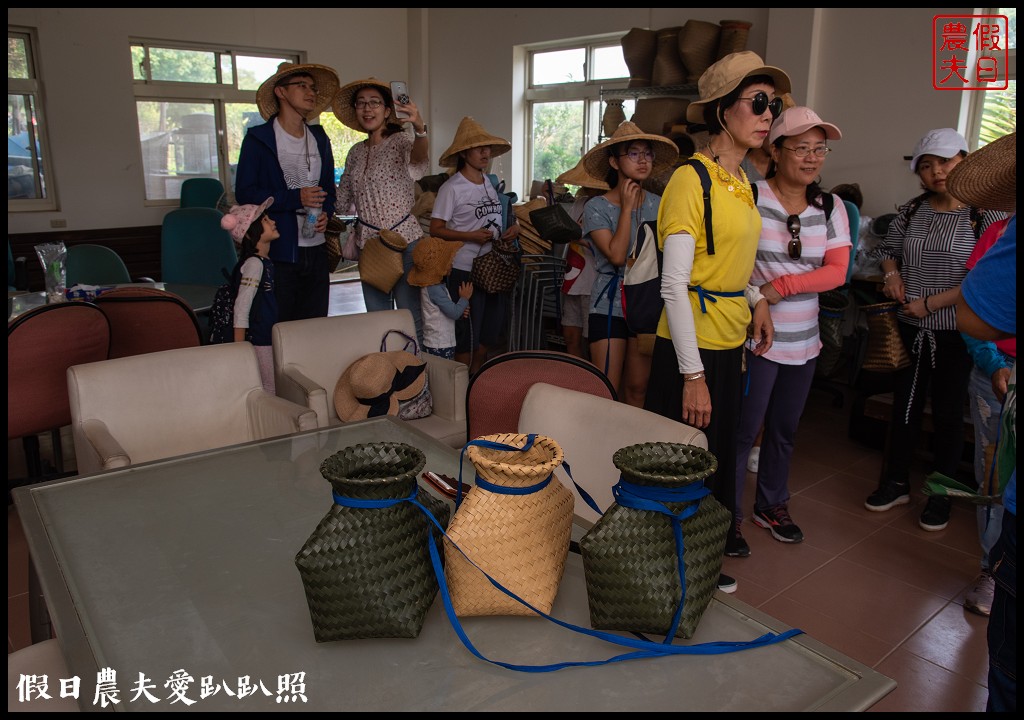 苗栗旅遊|頭份後花園茶遊程輕旅行．日新茶園×怡明茶園×老崎休憩步道×楓香林隧道 @假日農夫愛趴趴照