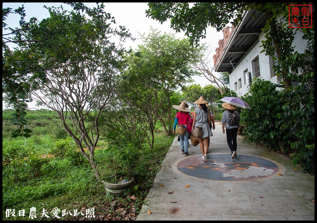 苗栗旅遊|頭份後花園茶遊程輕旅行．日新茶園×怡明茶園×老崎休憩步道×楓香林隧道 @假日農夫愛趴趴照