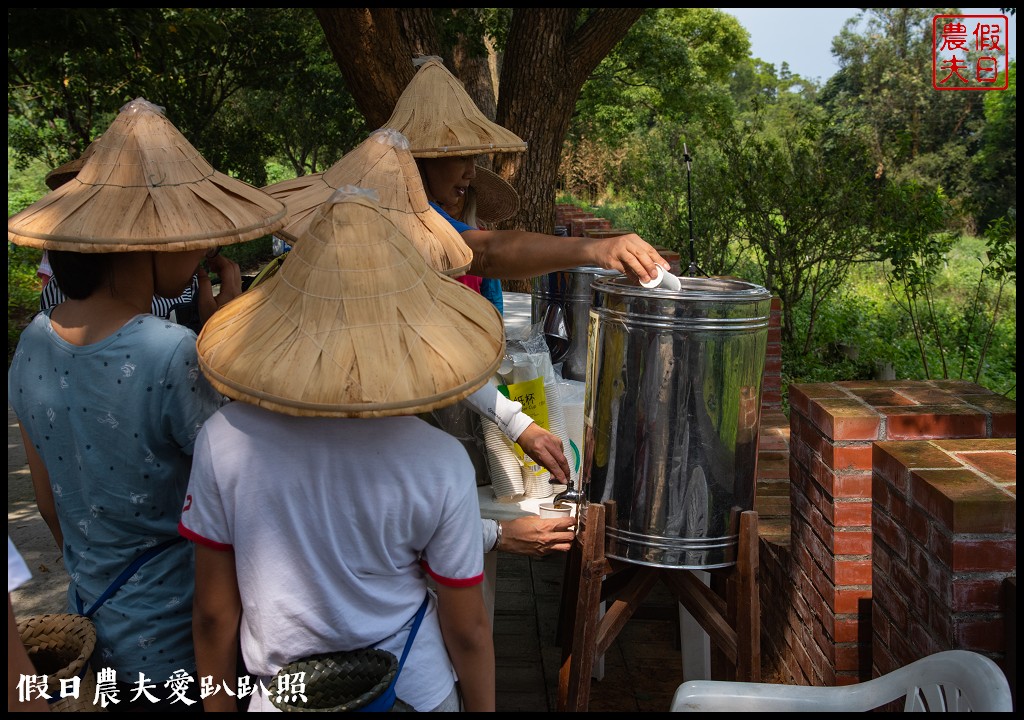 苗栗旅遊|頭份後花園茶遊程輕旅行．日新茶園×怡明茶園×老崎休憩步道×楓香林隧道 @假日農夫愛趴趴照