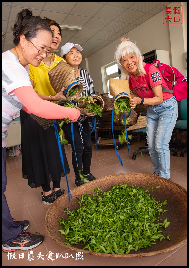 苗栗旅遊|頭份後花園茶遊程輕旅行．日新茶園×怡明茶園×老崎休憩步道×楓香林隧道 @假日農夫愛趴趴照