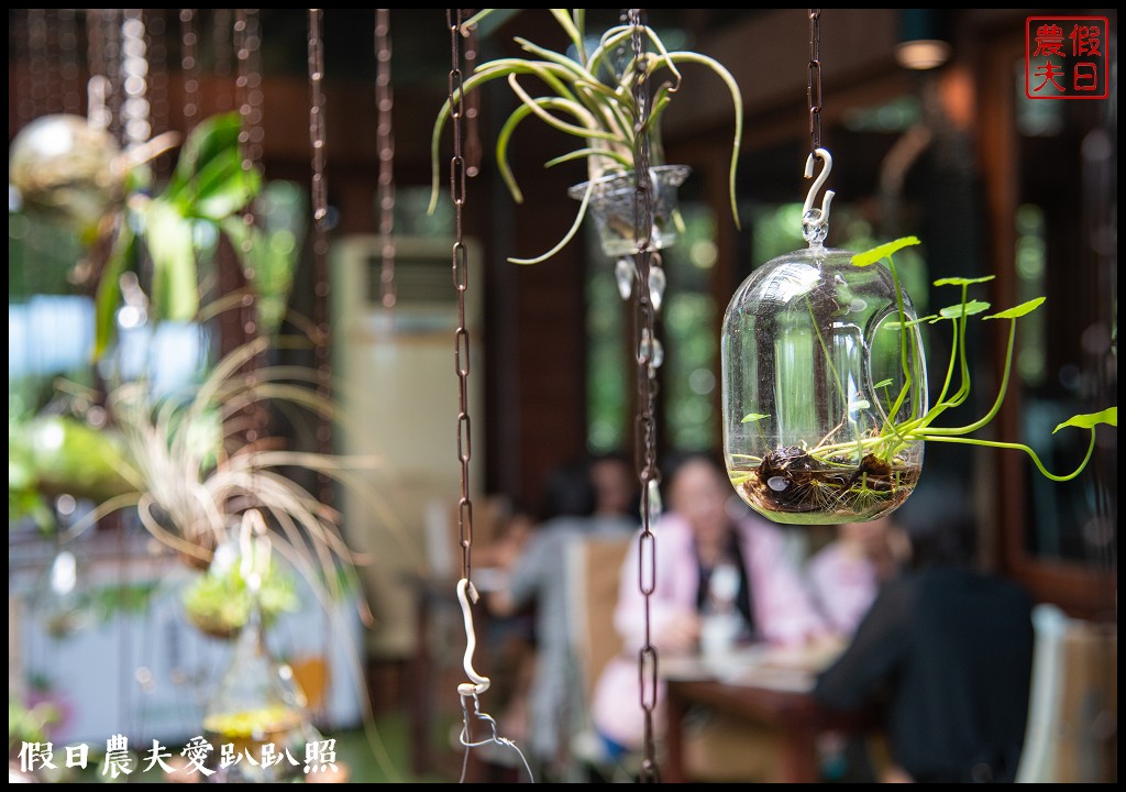 苗栗旅遊|頭份後花園茶遊程輕旅行．日新茶園×怡明茶園×老崎休憩步道×楓香林隧道 @假日農夫愛趴趴照