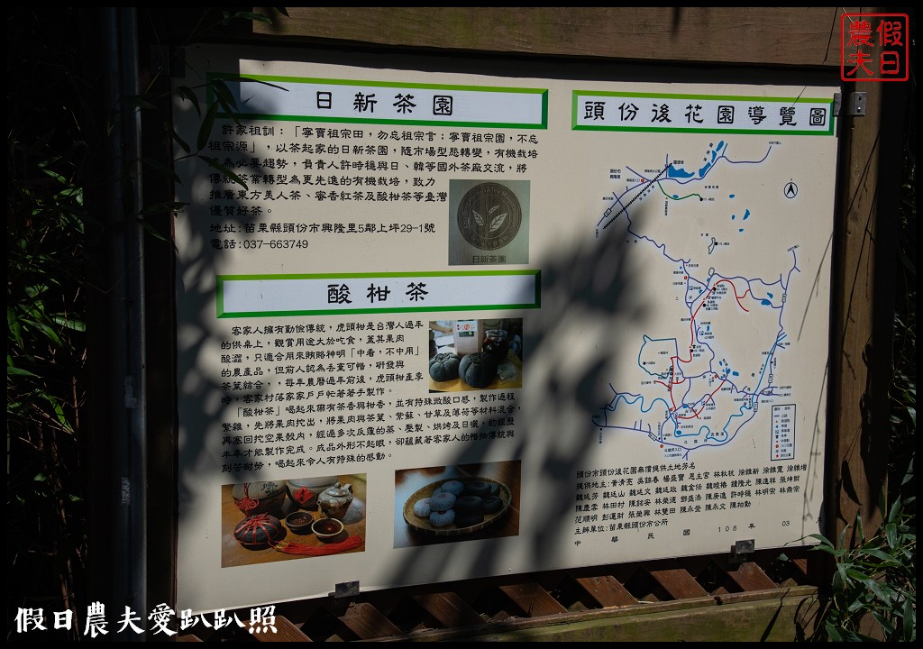 苗栗旅遊|頭份後花園茶遊程輕旅行．日新茶園×怡明茶園×老崎休憩步道×楓香林隧道 @假日農夫愛趴趴照