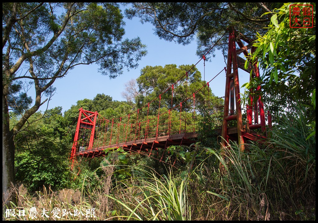 苗栗旅遊|頭份後花園茶遊程輕旅行．日新茶園×怡明茶園×老崎休憩步道×楓香林隧道 @假日農夫愛趴趴照