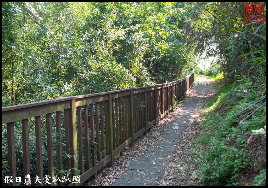 苗栗旅遊|頭份後花園茶遊程輕旅行．日新茶園×怡明茶園×老崎休憩步道×楓香林隧道 @假日農夫愛趴趴照