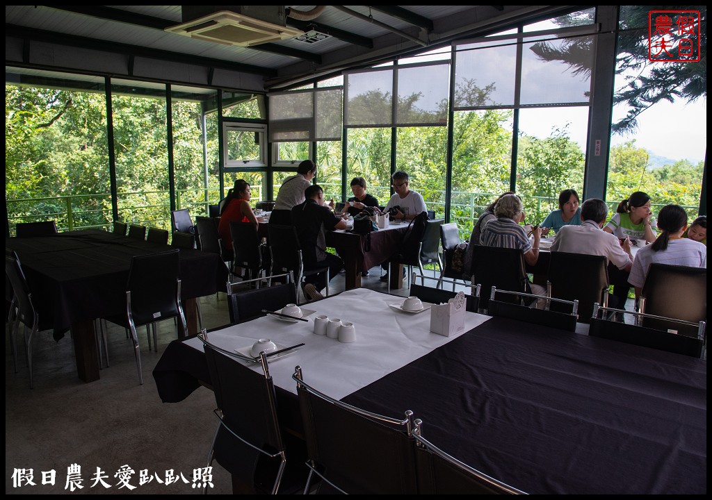 苗栗旅遊|頭份後花園茶遊程輕旅行．日新茶園×怡明茶園×老崎休憩步道×楓香林隧道 @假日農夫愛趴趴照