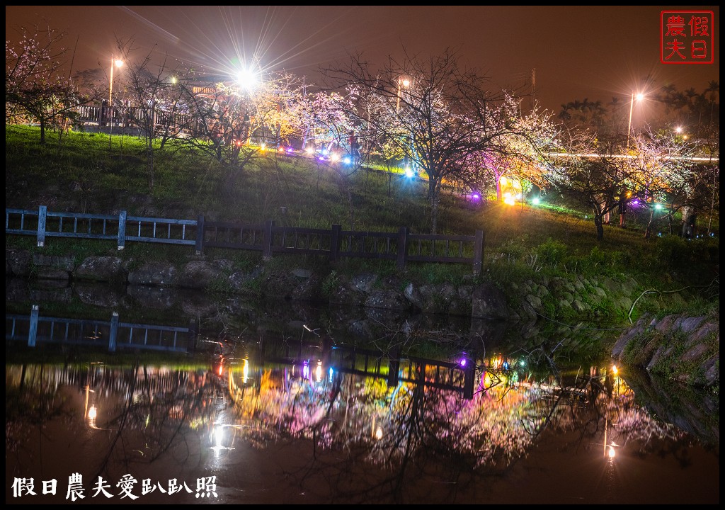 全國唯一．石馬公園河津櫻一年盛開二次，秋天開的櫻花你看過嗎 @假日農夫愛趴趴照