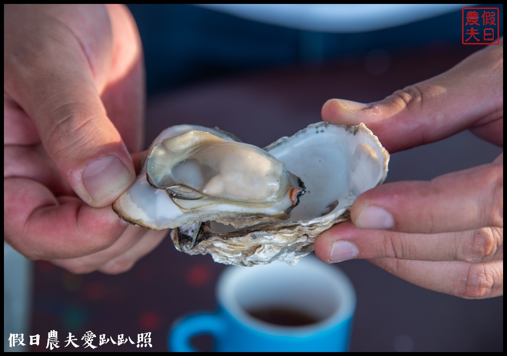 雲嘉南濱海慢旅行|穆斯林友善旅遊二天一夜怎麼玩/喔熊彩繪藝術村/井仔腳鹽田 @假日農夫愛趴趴照