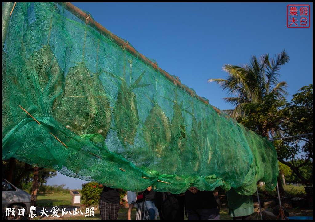 鹽鄉民宿餐廳|漁村海洋風民宿早餐是豐盛的海鮮粥 @假日農夫愛趴趴照