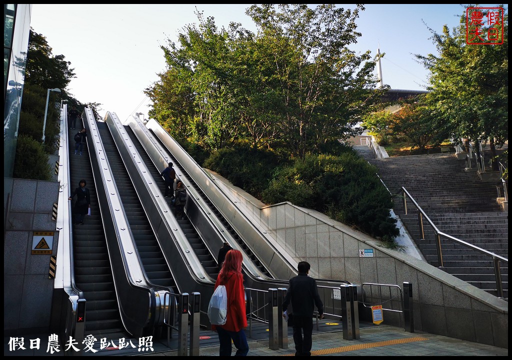 首爾景點|天空公園하늘공원紫芒節．粉紅色波波草和粉黛亂子草好可愛/交通方式/接駁車 @假日農夫愛趴趴照