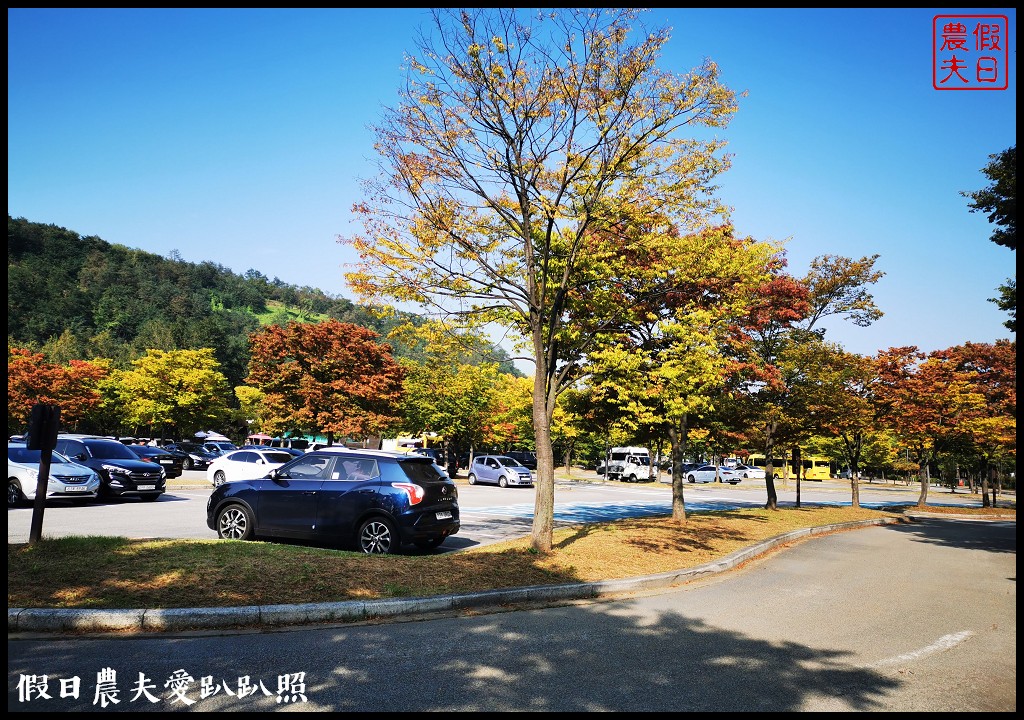 首爾景點|天空公園하늘공원紫芒節．粉紅色波波草和粉黛亂子草好可愛/交通方式/接駁車 @假日農夫愛趴趴照