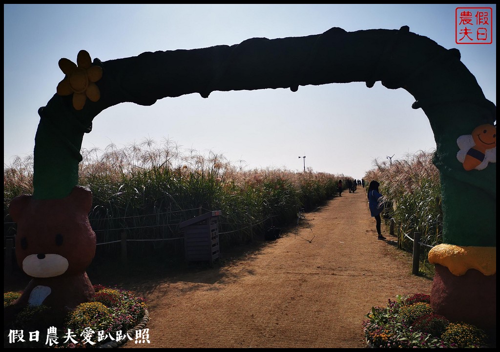 首爾景點|天空公園하늘공원紫芒節．粉紅色波波草和粉黛亂子草好可愛/交通方式/接駁車 @假日農夫愛趴趴照