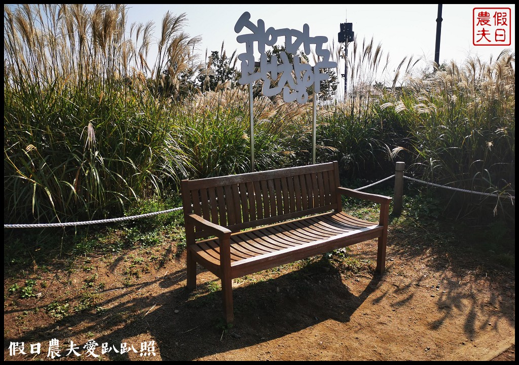 首爾景點|天空公園하늘공원紫芒節．粉紅色波波草和粉黛亂子草好可愛/交通方式/接駁車 @假日農夫愛趴趴照