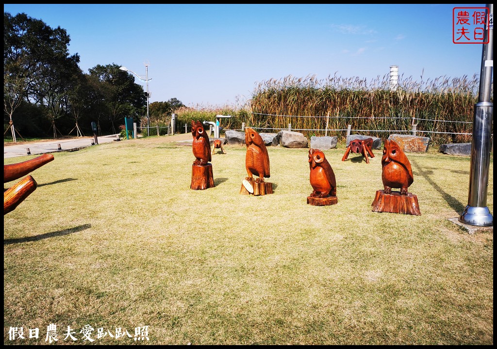 首爾景點|天空公園하늘공원紫芒節．粉紅色波波草和粉黛亂子草好可愛/交通方式/接駁車 @假日農夫愛趴趴照