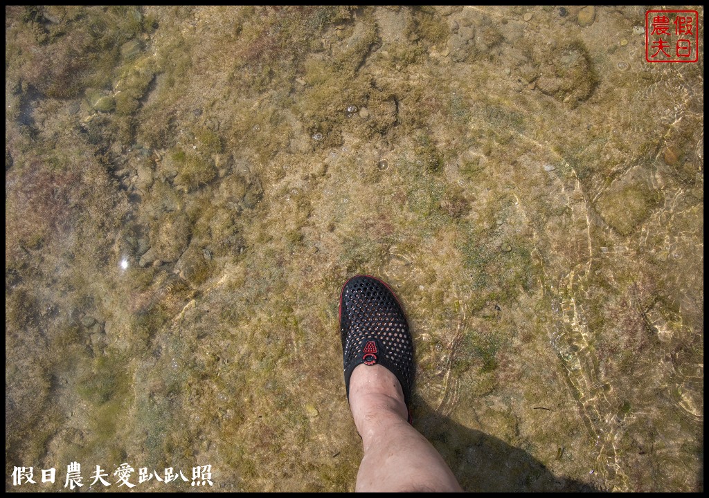 屏東旅遊|小琉球二天一夜怎麼玩．交通住宿景點美食綠蠵龜秘境懶人包 @假日農夫愛趴趴照