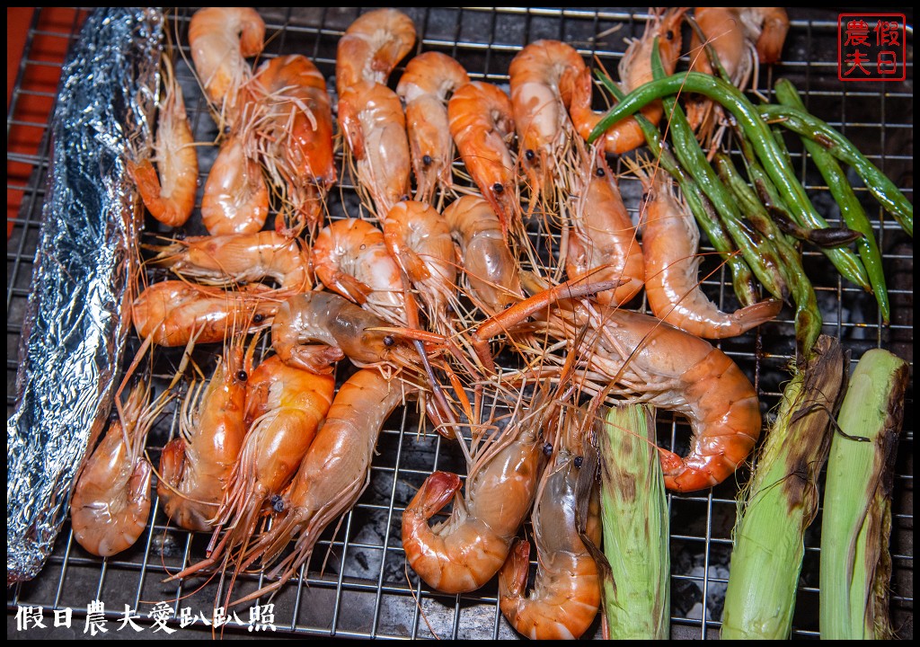 屏東旅遊|小琉球二天一夜怎麼玩．交通住宿景點美食綠蠵龜秘境懶人包 @假日農夫愛趴趴照