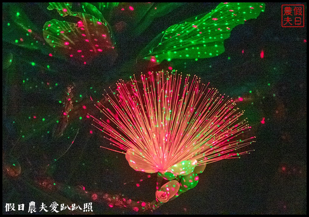 屏東旅遊|小琉球二天一夜怎麼玩．交通住宿景點美食綠蠵龜秘境懶人包 @假日農夫愛趴趴照