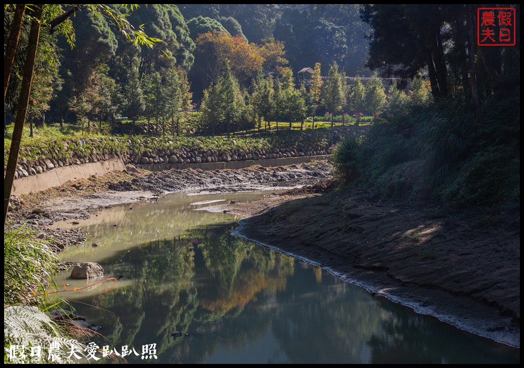 杉林溪森林生態渡假園區．松瀧岩瀑布×水杉林即將變色×紫葉槭全數變紅 @假日農夫愛趴趴照